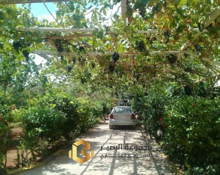 V396 فیلا سكنیة خدمیة في حي قطر